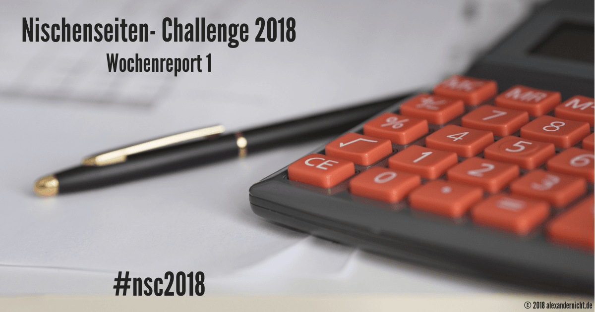 Nischenseiten- Challenge Wochenreport 1